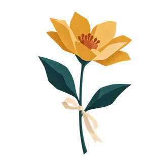 A single flower with a small ribbon tied around its stem.