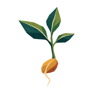 A seed putting out roots and new leaves.