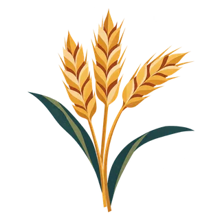 Three ripe wheat stems.